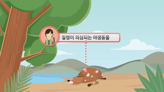 야생동물 관리 · 신고시스템 인포그래픽 — 국립환경과학원 제작 사례